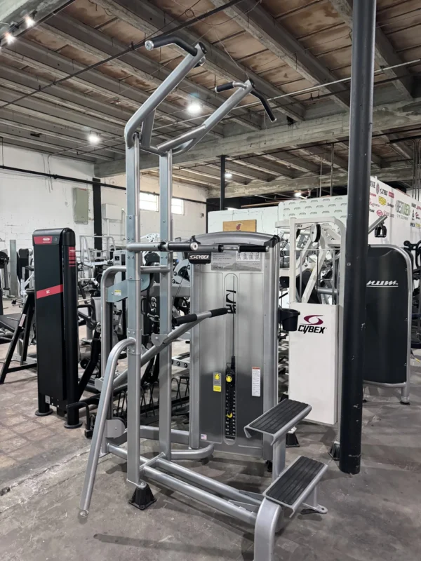 Cybex VR3 Dip/Chin Assist
