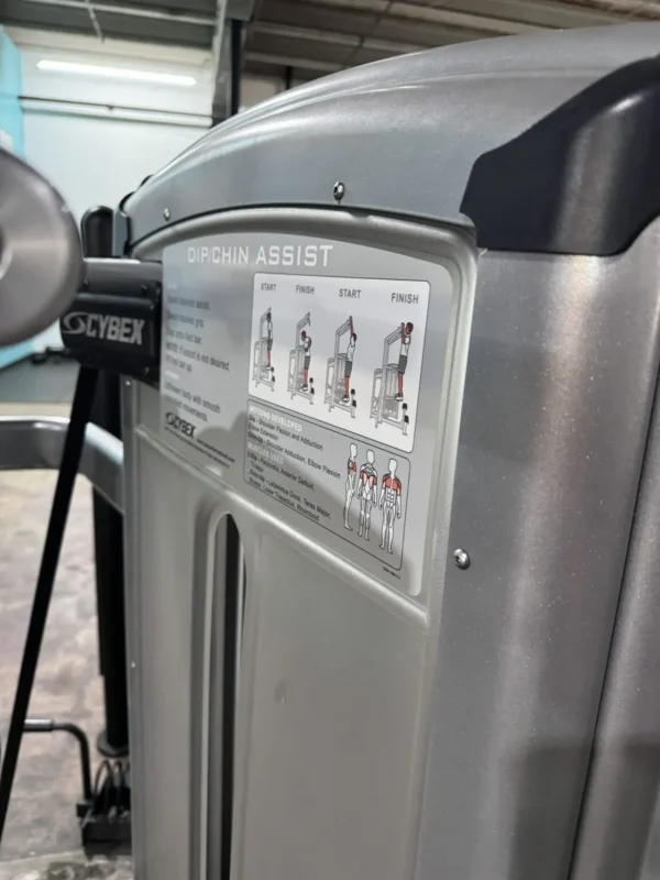 Cybex VR3 Dip/Chin Assist