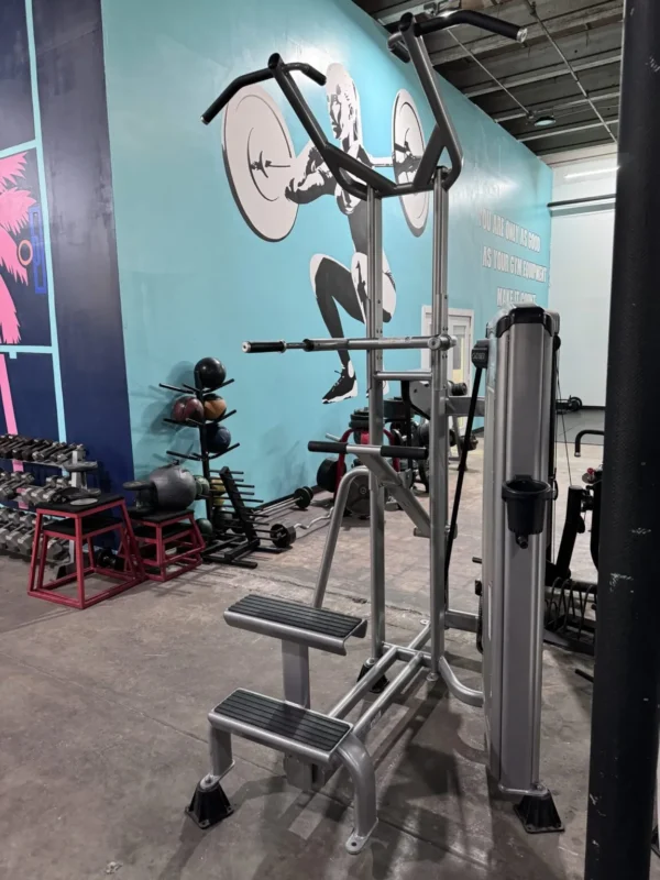 Cybex VR3 Dip/Chin Assist - Image 3
